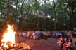 CubWorld Campfire
